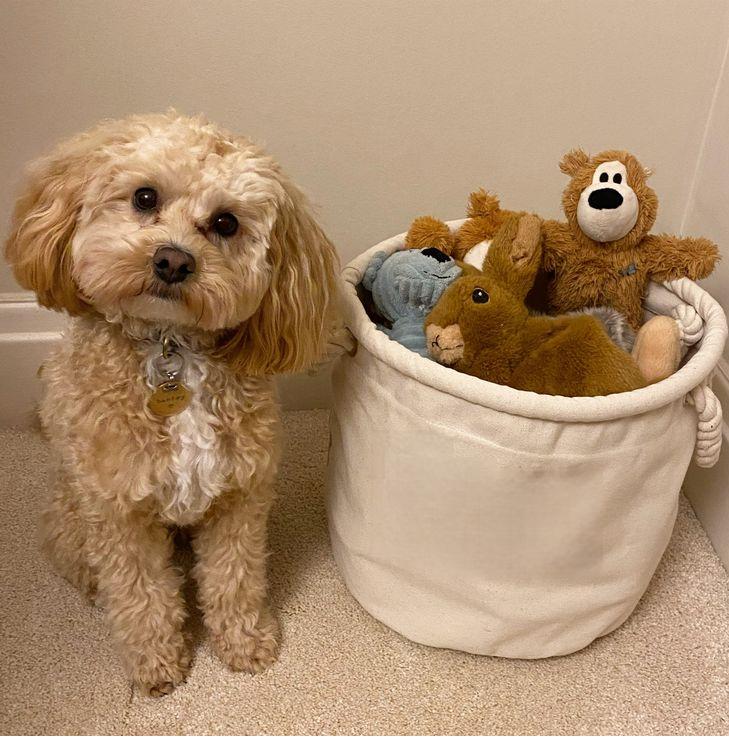 Toys