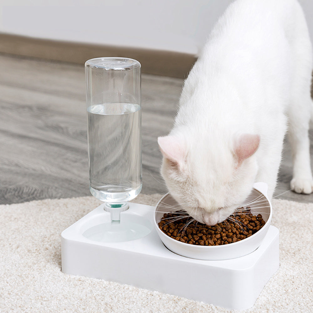 Automatic Double Bowl Pet Feeder & Water Dispenser for Dogs and Cats