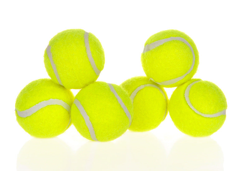 Pet Ball Launcher for Dogs – Automatic Fetch Machine