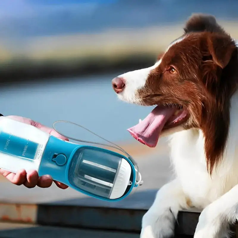 Hydrate & Feed Anywhere – Portable 3-in-1 Pet Cup