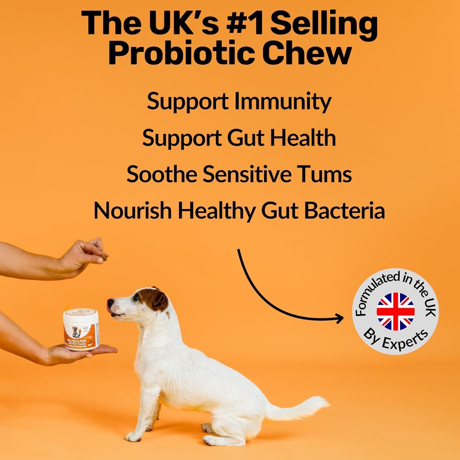 Dog Prebiotic Digestive Treats – Gut Health & Intestinal Support Snacks