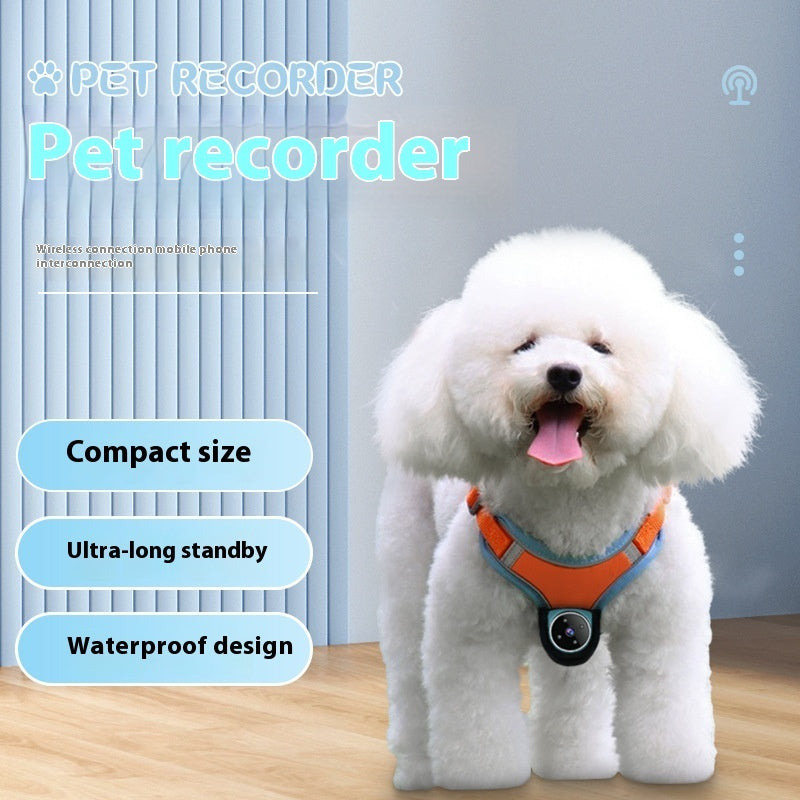 Pet Tracker Collar with HD Camera – GPS & Motion Recording for Dogs & Cats