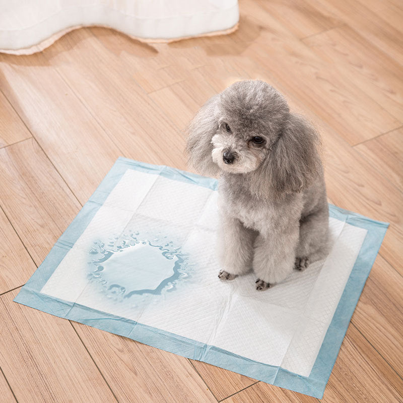 Disposable Dog Pads – Extra Large Wee Wee Mats