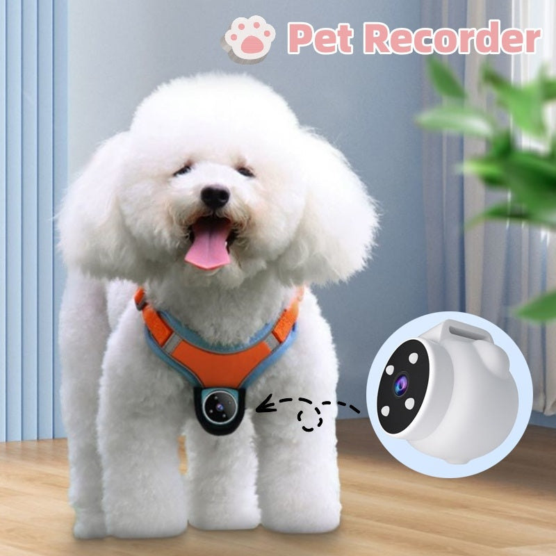 Pet Tracker Collar with HD Camera – GPS & Motion Recording for Dogs & Cats