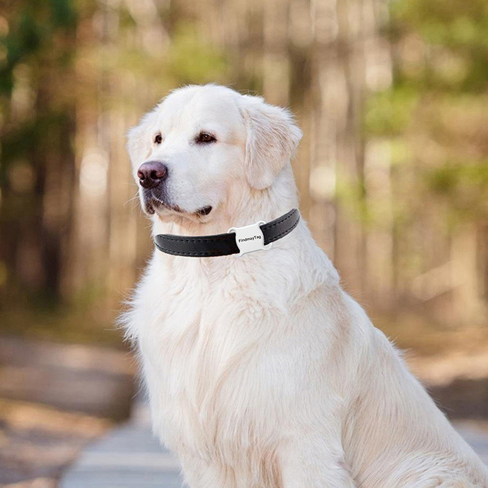 Smart Pet GPS Tracker – Cat & Dog Location Finder